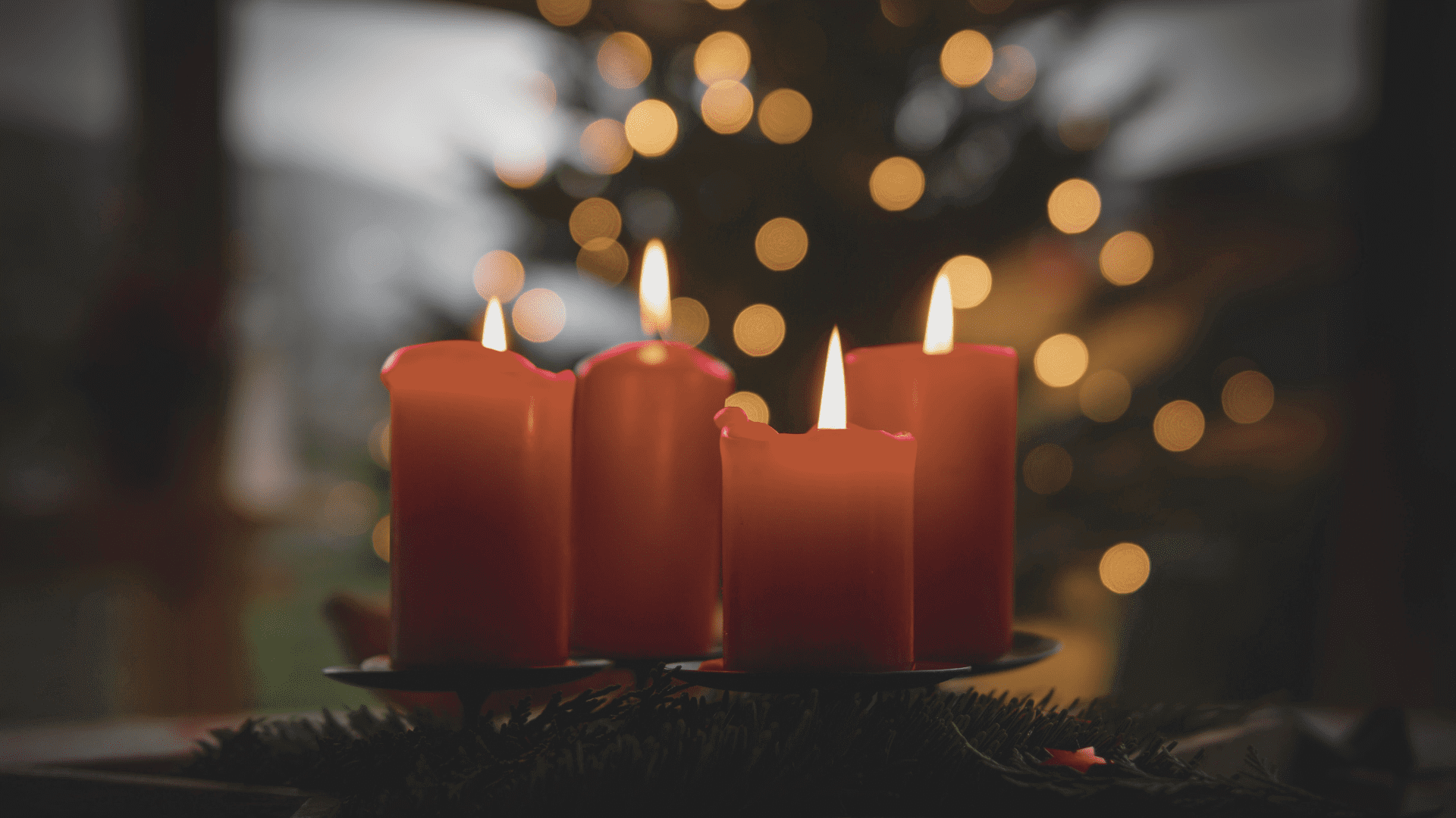 four candles lit in a dim room against a blurred out backdrop of a Christmas tree
